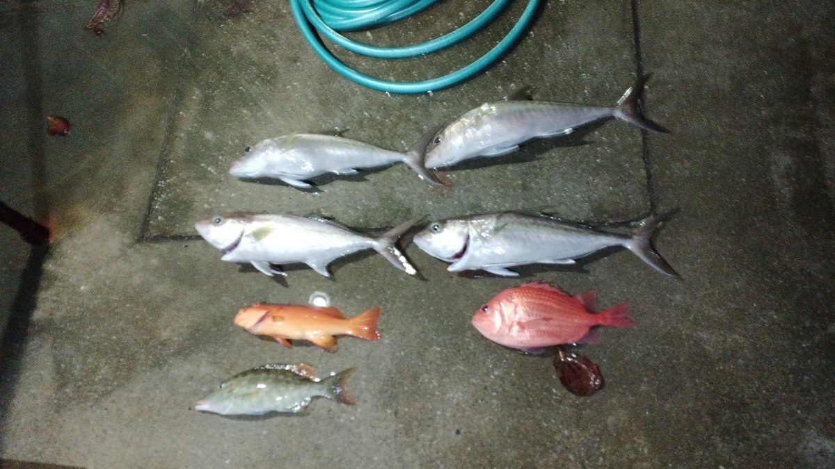 沖縄かんぱちジギング 久々のジギング釣果はカンパチとウムナガーとエビスダイ 沖縄かんぱちジギング 久々のジギング釣果はカンパチとウムナガーとエビスダイ