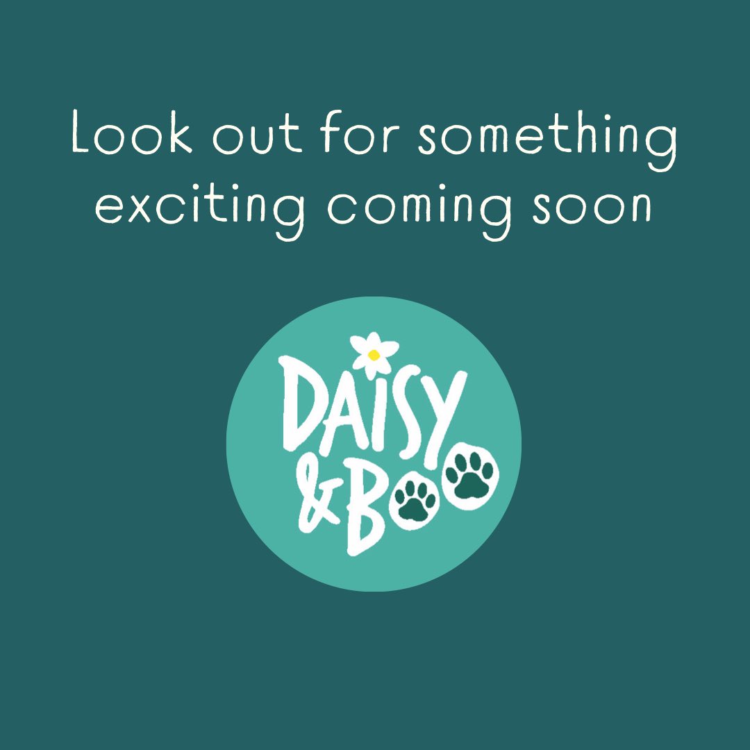 world_of_Boo's tweet photo. Brand new handmade luxury product launch, coming soon! #handmade #pup #etsyshop #dog #doglover #excitingtimes https://t.co/nmQqoQ095j