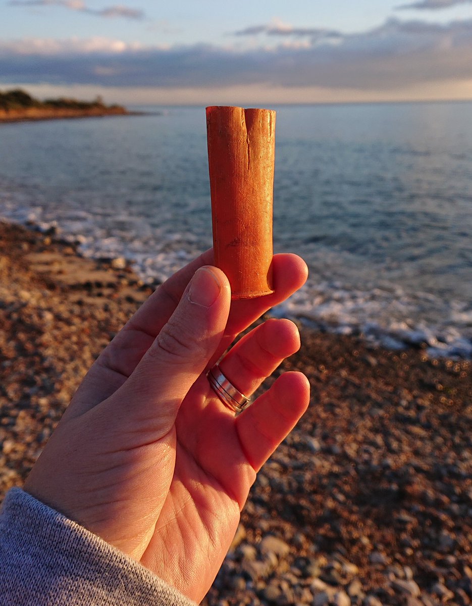CleanSardinia's tweet photo. Wondering if this is only our local problem. Hunters' shotgun cartridges. Abandoned around the hills and mountains, they travel towards the sea carried by rivers and torrents to end up on the shore, brought back by the waves. #marinelitter #plasticpollution #ourocean https://t.co/CIWci6rvFE