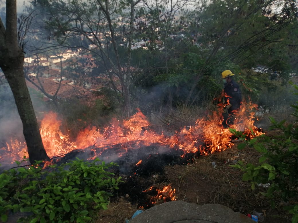 floridabomberos's tweet photo. 🔴 #ATENCIÓN en las últimas 4️⃣8️⃣ horas hemos controlado 8️⃣ conatos forestales. La #temporadaseca☀️ es gran causa de estas emergencias, pero nuestros bomberos están preparados 24/7 para combatirlos con valentía. #LaborCumplida https://t.co/Y9sm0ysmtX