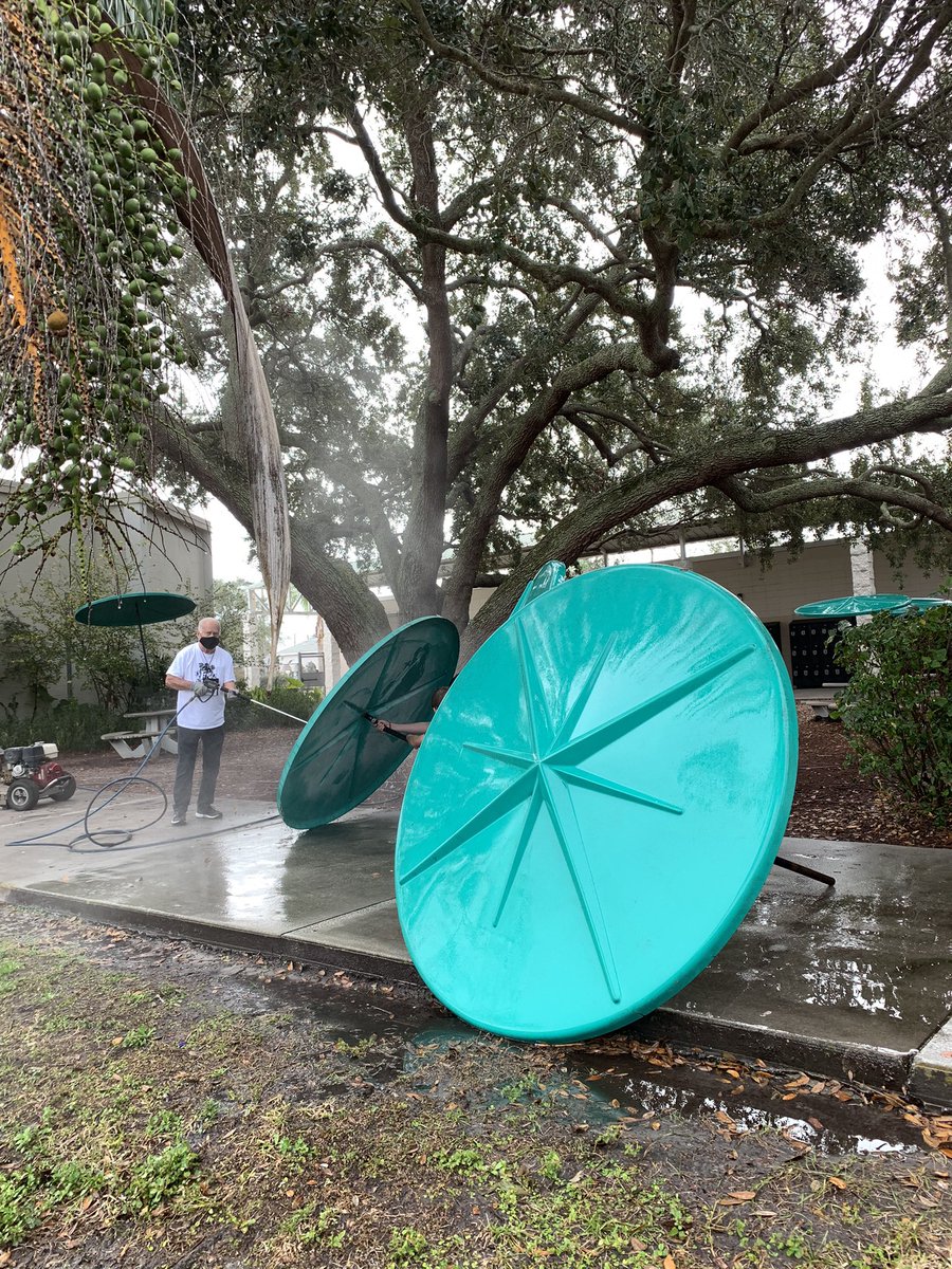 Campus clean-up  &amp; beautification going on now <a href="/HCPSColemanMS/">HCPSColemanMS</a>! Our <a href="/PHSBetaHonor/">Beta Honor Club</a> students &amp; South Tpa. Elks Lodge volunteers hard at work! Thank you!  #service #schoolpride <a href="/colemanptsa/">colemanptsa</a> <a href="/hcpsMS/">HCPS Middle Schools</a> <a href="/HillsboroughSch/">Hillsborough Schools</a>