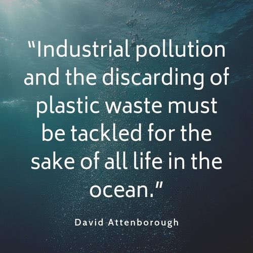 We must make more sustainable choices to secure the future of our planet. 

Join the fight to be #plasticfree ♻️🌍

lane44.com 

#SirDavidAttenborough #sustainable #noplastic #eco #ecogift #Agenda2030 #supportsmallbusiness #NorthernIreland