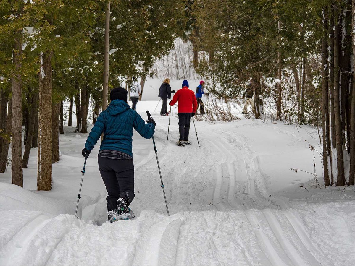 townofbluemtns's tweet photo. Heading out for a winter adventure in #TBM? Be prepared for the trails: 
✅ Dress for the weather
✅ Know your route
✅ Follow public health guidelines 
✅ Plan for parking
Stay local. Park safely. Be prepared: https://t.co/ma1snlXUS6 #ExploreBlue @VisitGrey @SGeorgianBay https://t.co/w5MYxHizX5