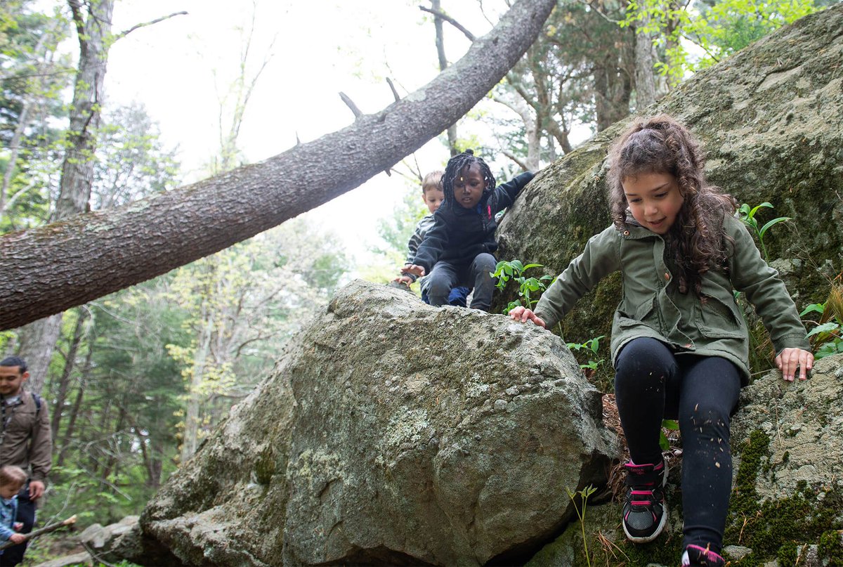 wheelerschool's tweet photo. Exciting news to share about Wheeler's new #preschool, The Nest! Opening September 2021. https://t.co/Ycqon2XO5x #Naturebased #emergentlearning https://t.co/aIRjv3lZFx