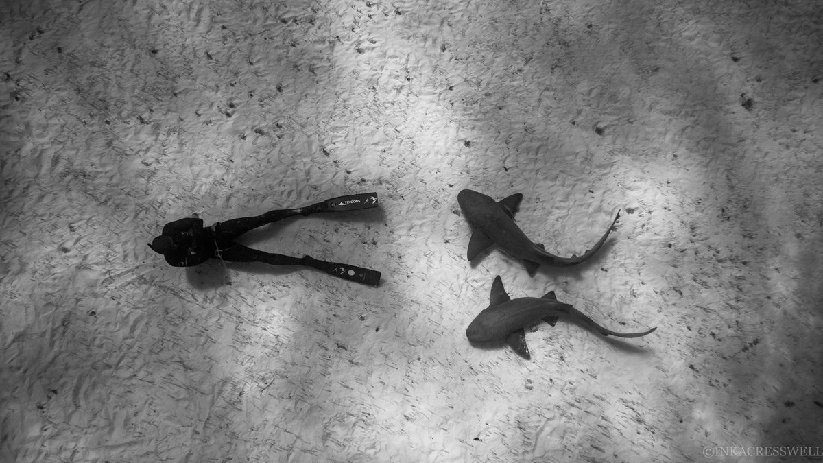 <a href="/WilliamWinram/">William Winram</a> giving new meaning to 'keeping calm under pressure'