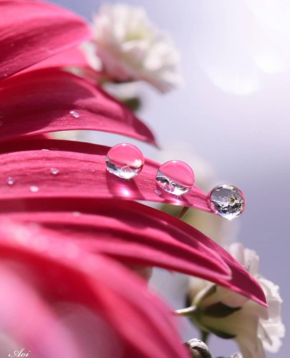 별이🌟 tweet media