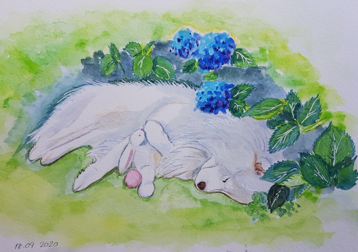 Twoucan アジサイ の注目ツイート イラスト マンガ コスプレ モデル