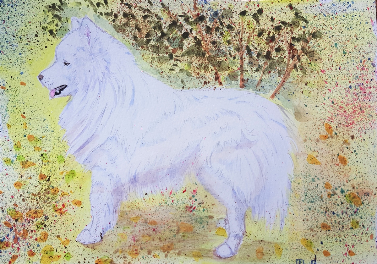 Twoucan サモエド の注目ツイート イラスト マンガ コスプレ モデル