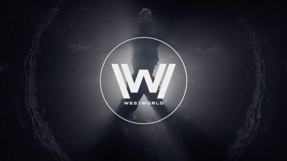 8. Westworld - When I say Westworld I mostly am referring only to the 1st season. The show has couple of good EPs in 2nd season and some good moment sin 3rd season. But the 1st season was easily one of the best stuff I've EVER seen.