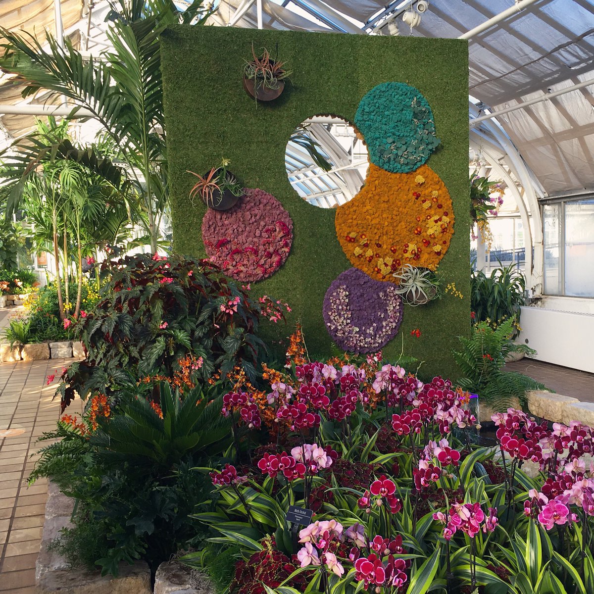 Now presenting: Orchids!

This winter exhibition always comes at a time when we are craving bright colors — and now, after all we have experienced in 2020, that is truer than ever. 

Come enjoy the fresh, floral fragrances and this reminder that spring is just around the corner.