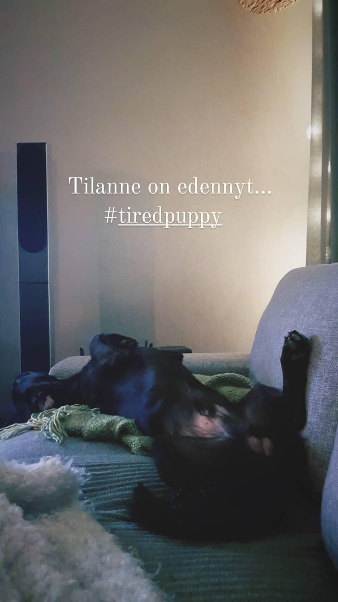ArmasOne's tweet photo. Tämä lauantai on nähtävästi aika raskas. 🤔 https://t.co/HfQTNOUsYx