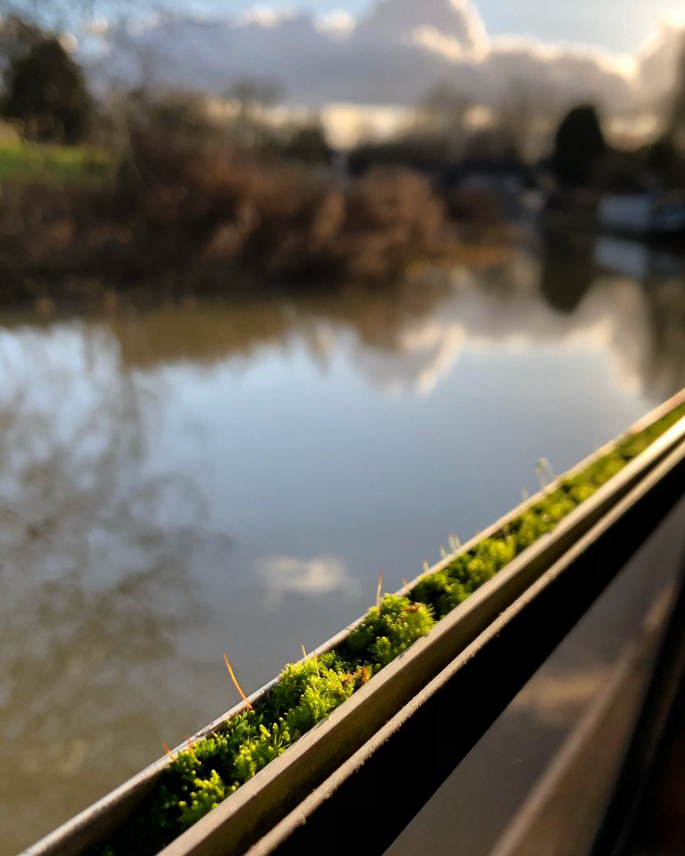 There’s a world of wonder right outside your window 🌱