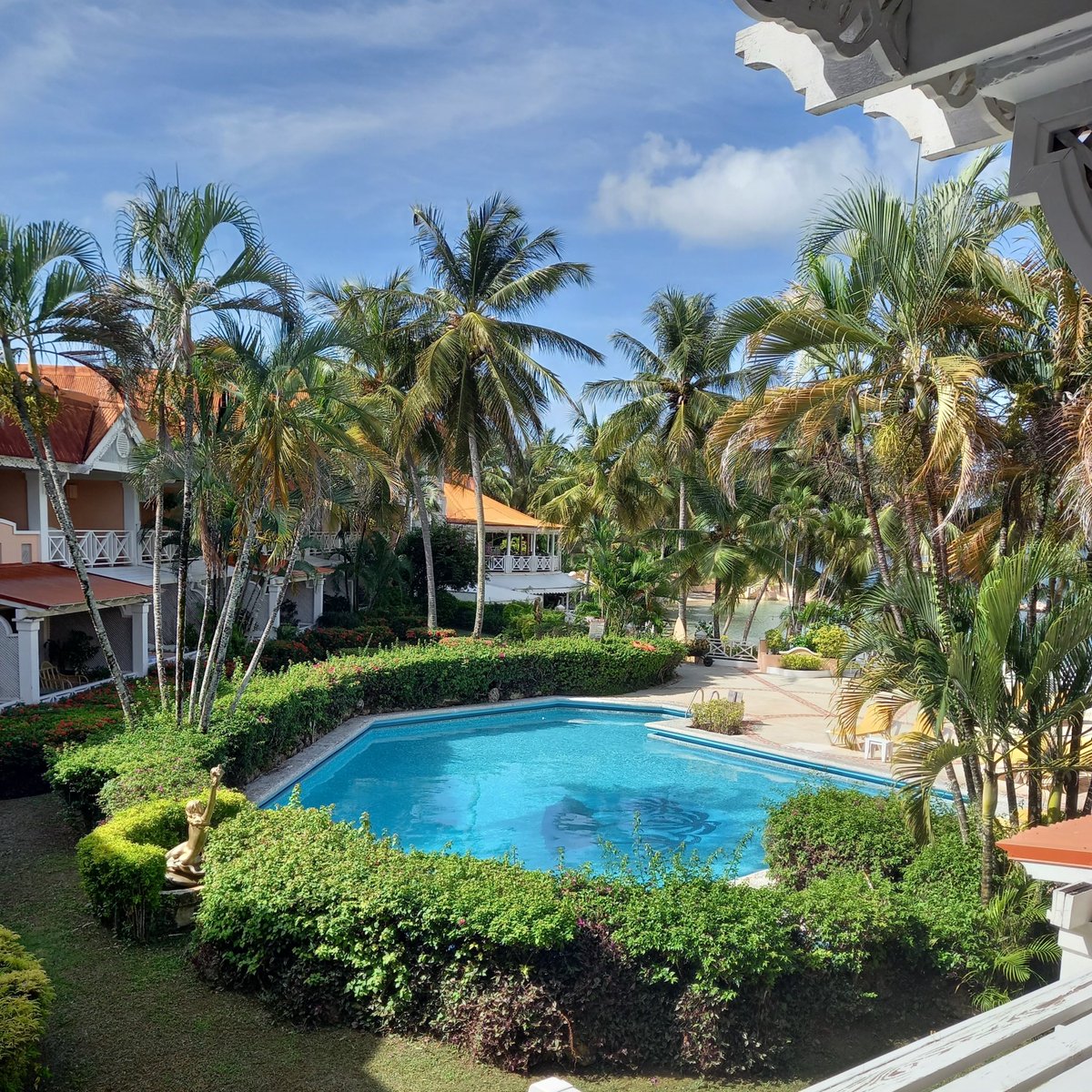 Coco Reef - Tobago tweet media
