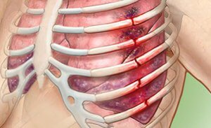 HarrisSZN ⚡️ tweet media