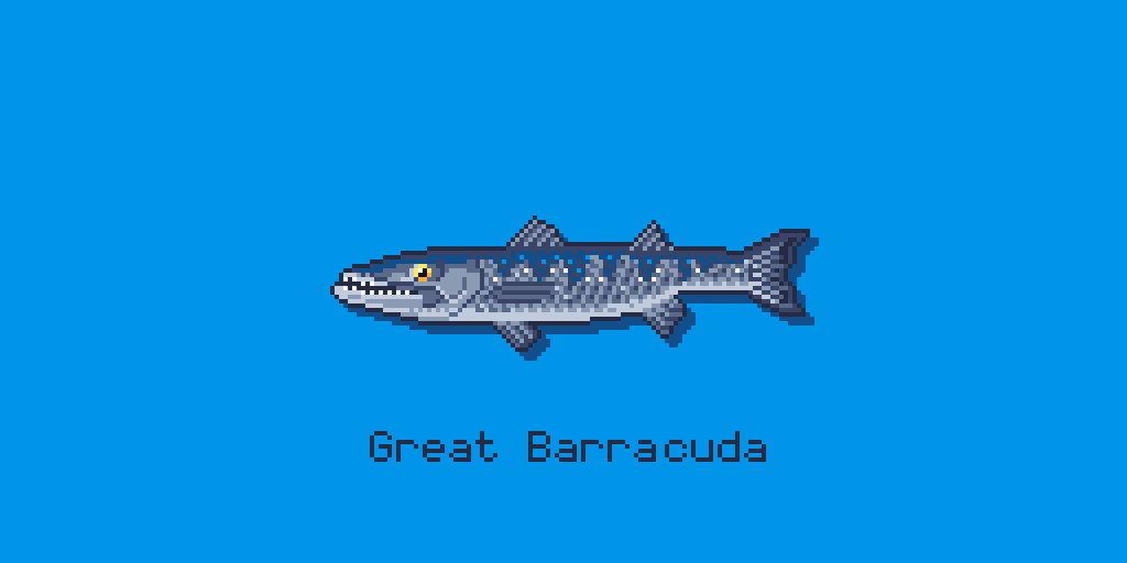 ShakaAdim's tweet photo. #pixelfish #shakadim #uder100gang #pixelart #commisionsopen #barracuda https://t.co/xOURDJCze2