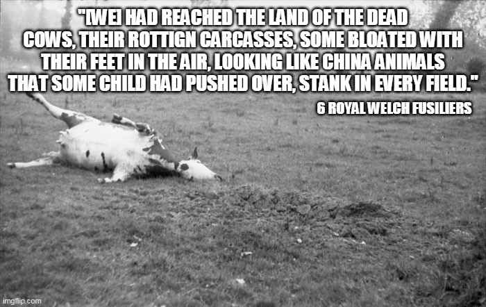 Bodies littered the field.Many remaining unrecovered. Entire herds of cattle were scythed down, steadily bloating, distending and warping as millions upon millions of fat, greedy bluebottles feasted on man and beast. /10
