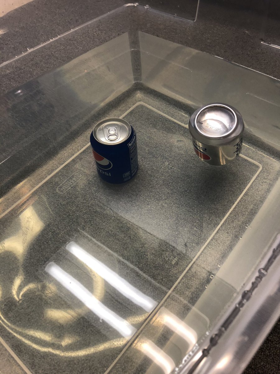 missfgrade6's tweet photo. Sink float experiment for Density #sciencerules #teachertwitter #stemismyjam https://t.co/VdwK9CGqtz
