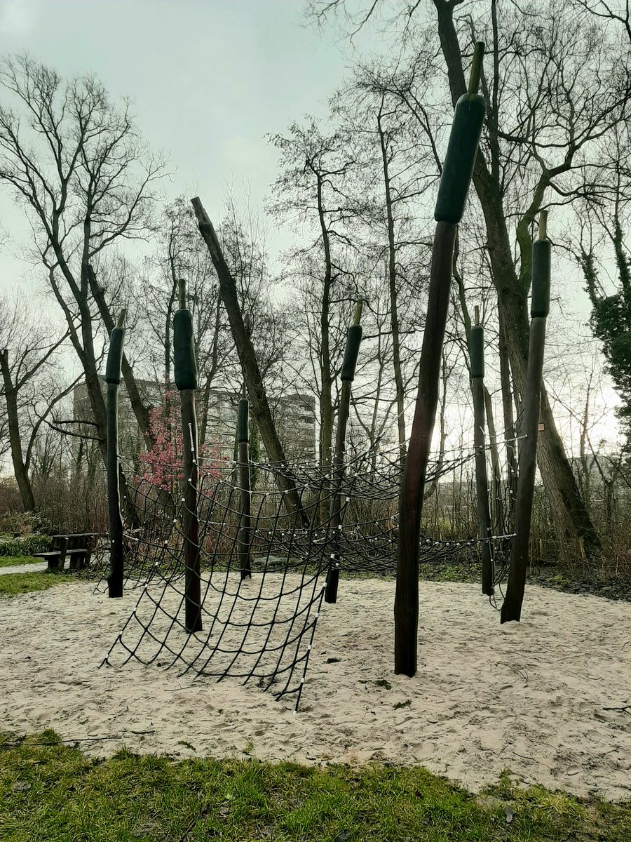Bureau_RIS's tweet photo. Voorjaarstekenen in de #natuurspeeltuin... #katjes #hazelaar #HetEiland #Oosterwei #Gouda https://t.co/4dYphWM64C