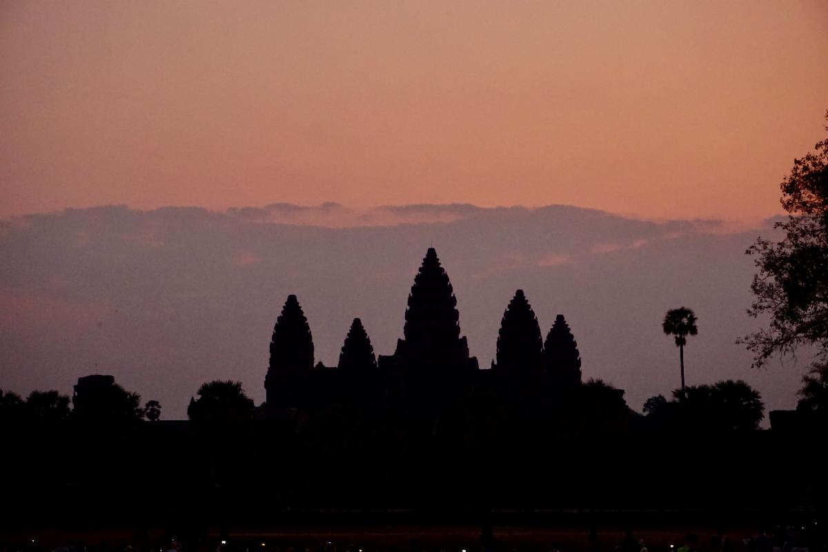 How to Travel NOW conta.cc/38V4F0R