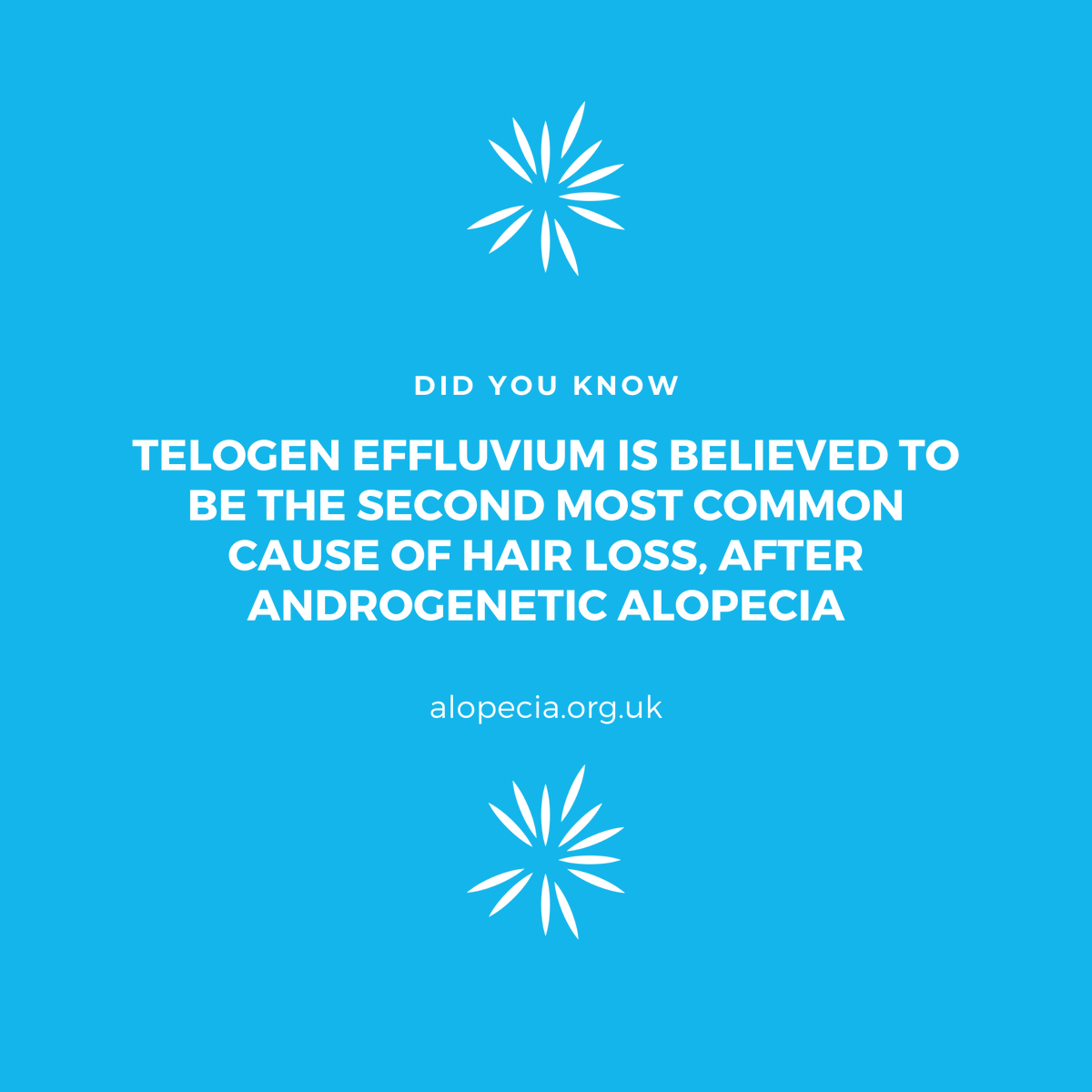 AlopeciaUK's tweet photo. Telogen Effluvium (TE) commonly occurs in people recovering from periods of illness. Many people recovering from Covid-19 have reported hair loss. Our Research Committee member, Professor Andrew Messenger, has provided this summary about TE: https://t.co/c4MwiPTaXz https://t.co/CDueh6YExb