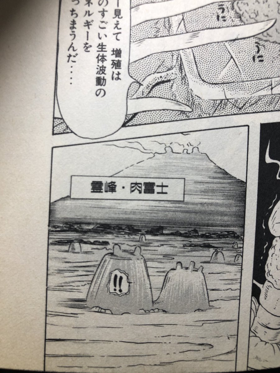 サガノヘルマー Black Brain 霊峰・肉富士 