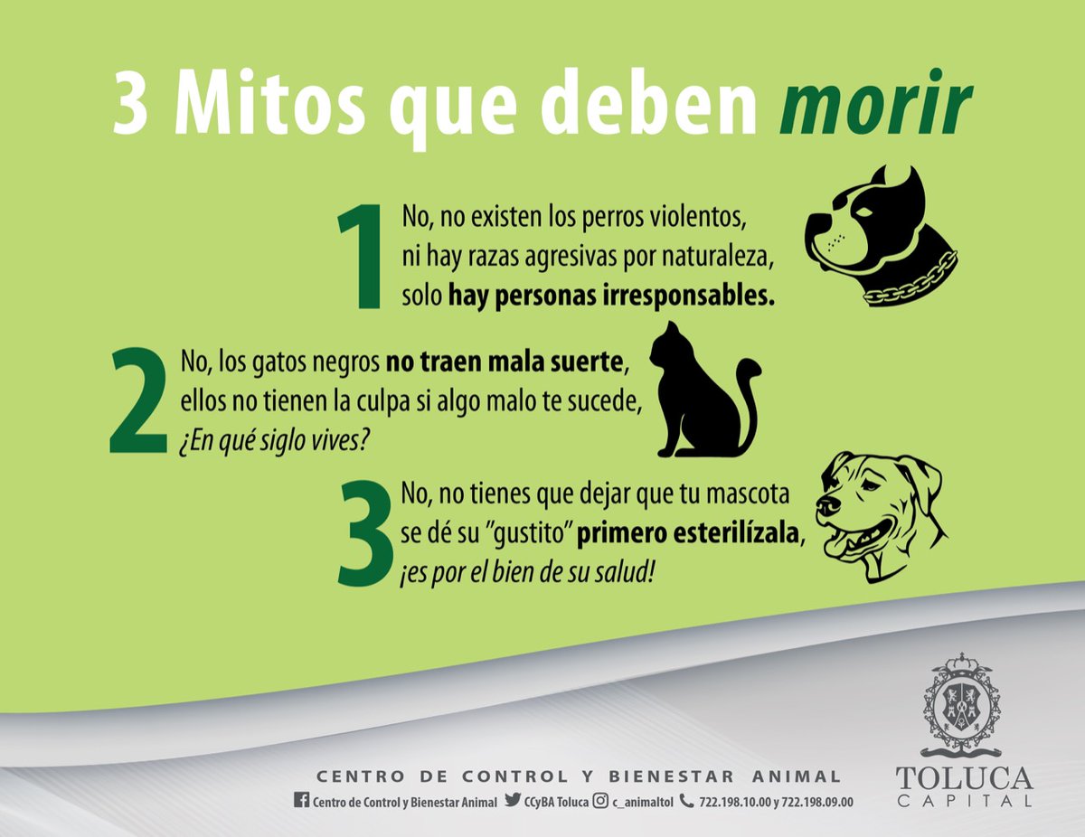 Vamosxunacasa's tweet photo. No difundamos información falsa que perjudica a nuestros animales de compañía. Aquí te compartimos algunas para empezar a erradicarlas #MejoresCompañeros #TenenciaResponsable #NoAlMaltrato. https://t.co/UHn24Id1Qj