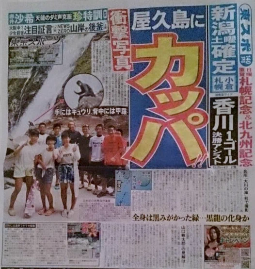 確かに普通の紙媒体の新聞はメディアとして時代遅れの産物の様な気がする。

ただ、スポーツ新聞は違う。

紙媒体でしか出せないもの(取るに足らない情報や複雑な文字組み、妙な挿絵やデザインセンス等)を紙媒体の中でフル活用してるものなので簡単にデジタルでは置き換えられない。 
