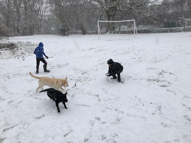 StrathallanPrep's tweet photo. Break time on snowy Islay means it's time for 🏏❄

Great way to keep active! 😂 https://t.co/iZLIxGA0Q3