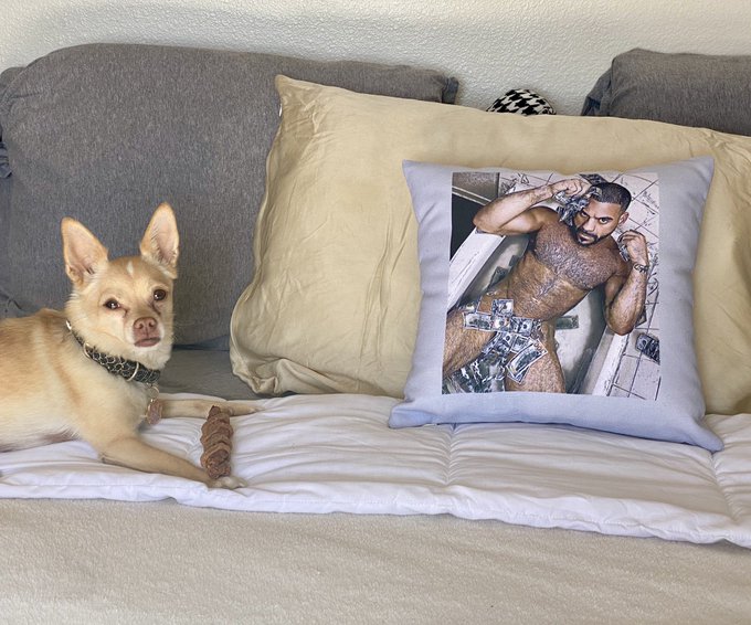 2 pic. Pillows, totes & tshirts oh my!! Love u guys...  Merch! https://t.co/EDGvf6Jq6s https://t.co/