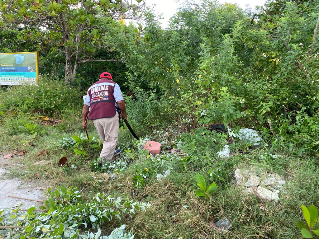 AytoCancun's tweet photo. A través de nuestras brigadas de @ServPublicosBj realizamos labores de chapeo y limpieza general en la #SM74. Continuamos trabajando cada día por mejorar nuestra ciudad
#TrabajamosParaTi https://t.co/f7WIi9w0cS