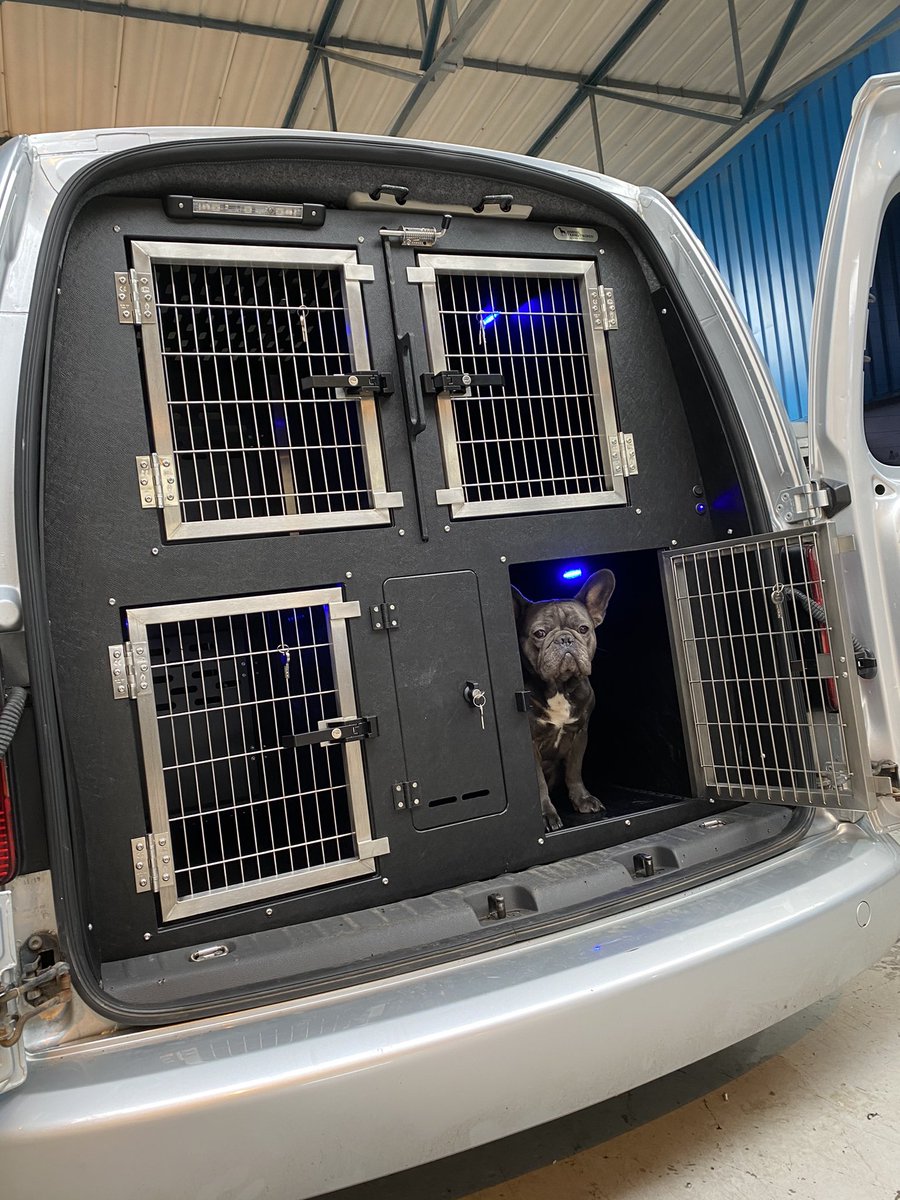 gun dog transit boxes