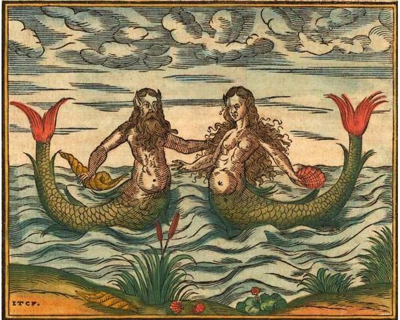 Mermaid folklore is something that fascinates me. But the image of 'the mermaid' as described in European fairytales, classical art and Disney seems pretty 'by the book': Half human, half fish, split just beneath the belly button. What about mermaids that break the rules? 1/