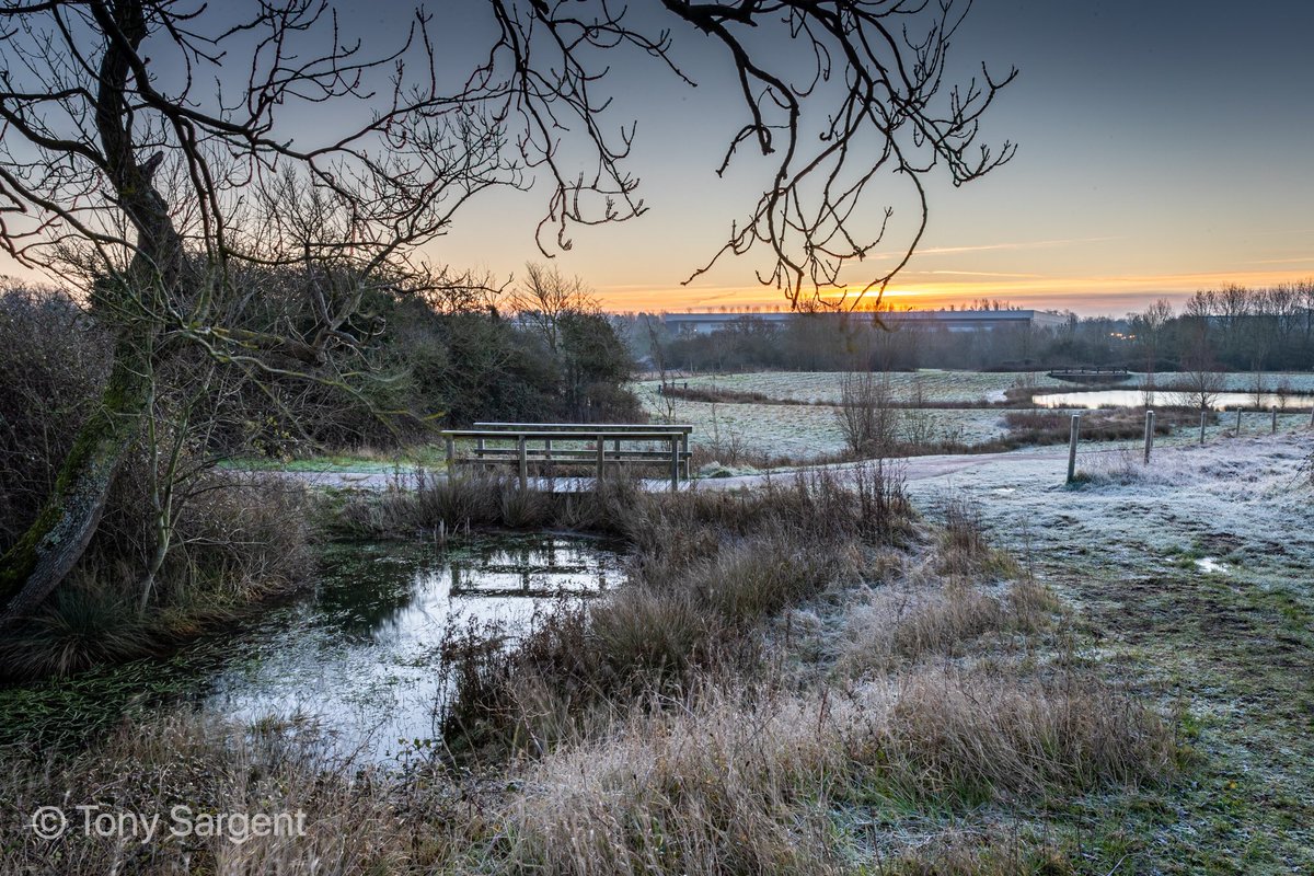 sargent1968's tweet photo. Taken by me on a frosty pre-working from home walk at Tattenhoe Park #scenesfrommk @CanonUKandIE #1dxmkii #k&ftripod #frostymorning #tattenhoepark @MKCommunityHub @scenesfromMK https://t.co/0kNrx3goiv