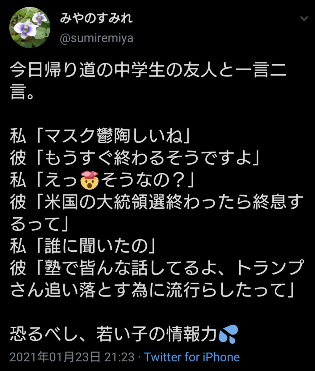 M16a Hayabusa On Twitter 恐らくはネタツイだと思うけどさ コレが本当なら日本の将来は絶望だろ 義務教育の敗北 中学生 Jアノン 陰謀論