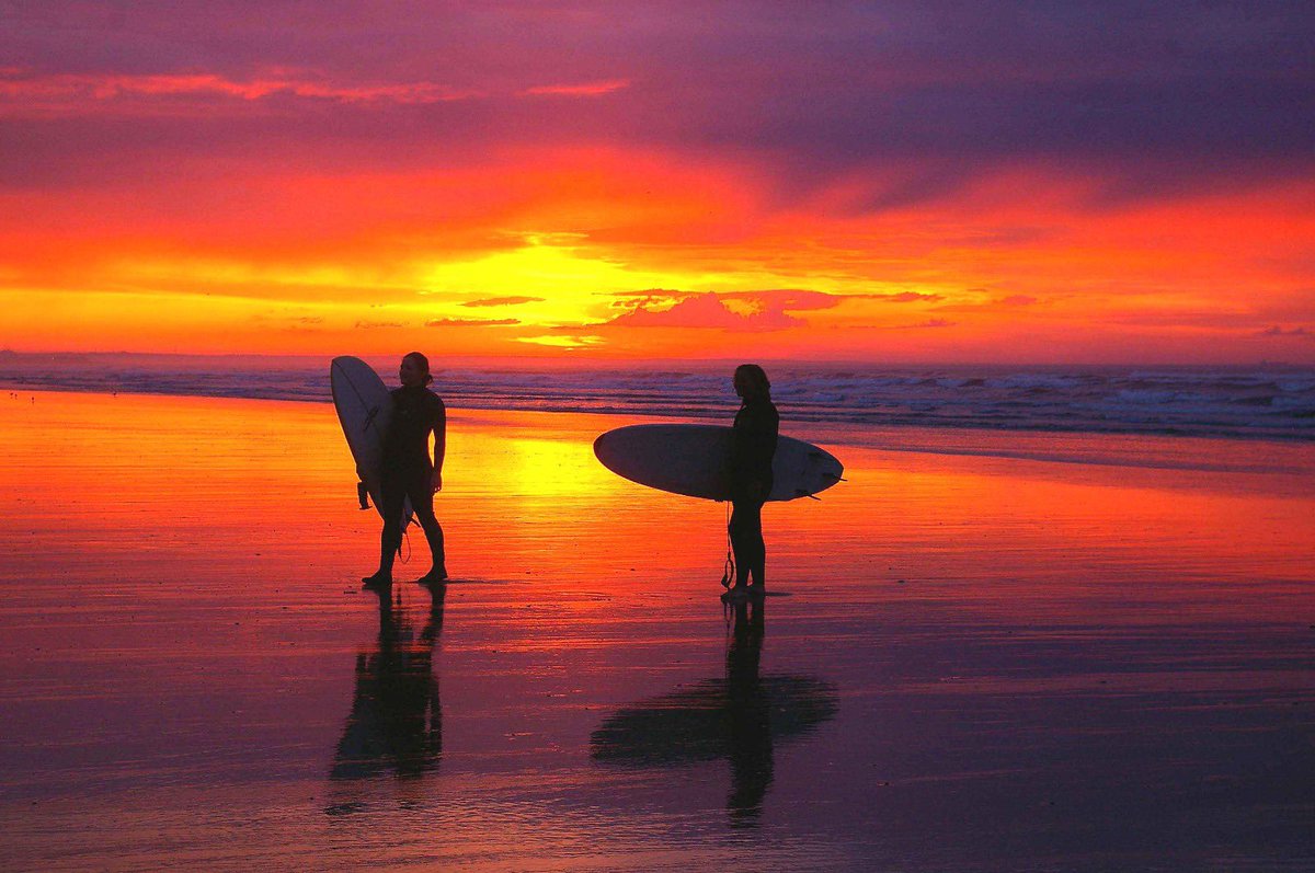 Jessie Joe Jacobs tweet media