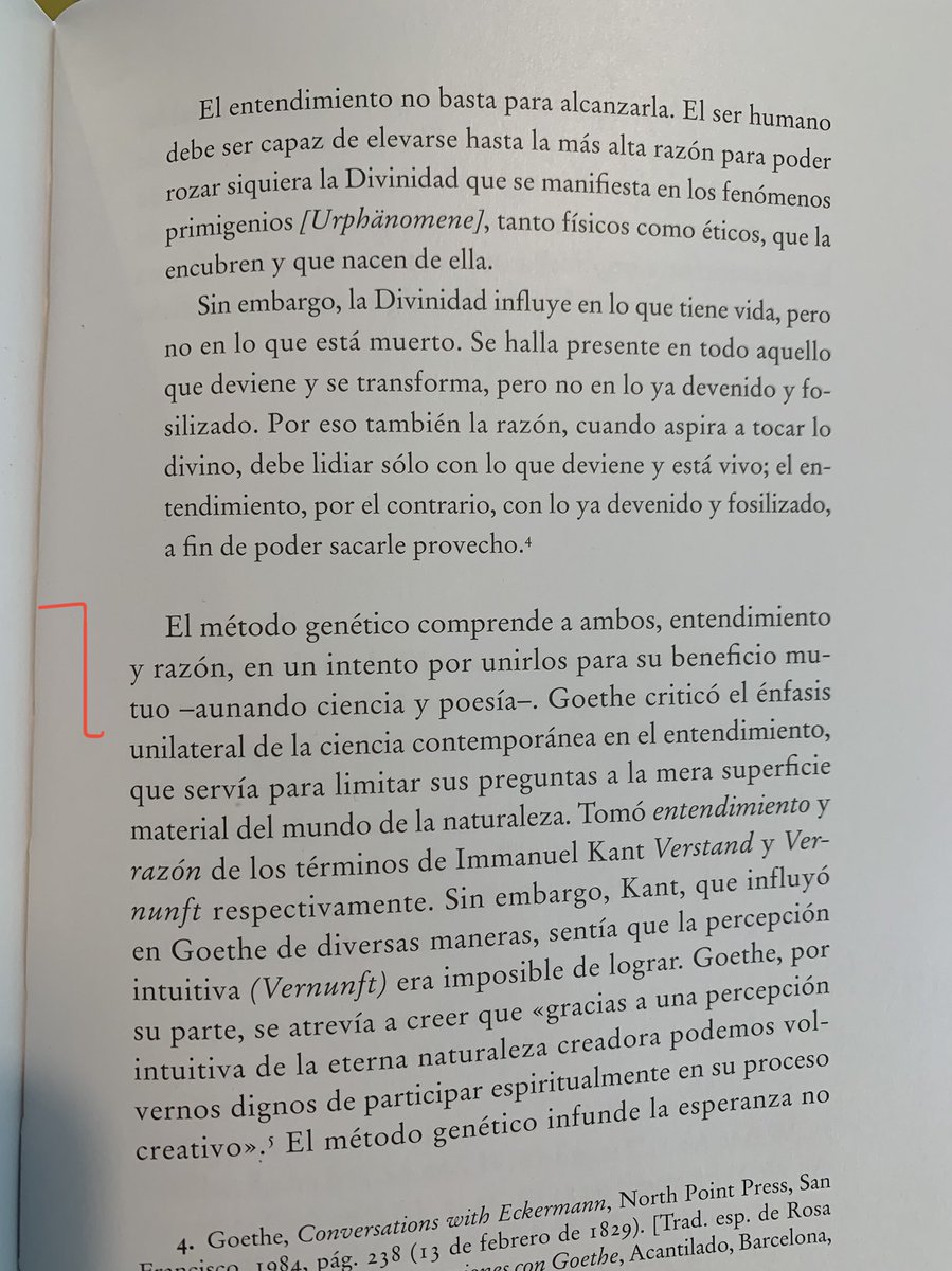 jalzatev's tweet photo. #JWGoethe vincula ciencia y poesía para describir la metamorfosis de más plantas. Adentrarse en la mutación vegetal para ver la divinidad oculta. Gracias @AtalantaED por una producción impecable e imágenes hermosas. https://t.co/tRgzJPHjEu