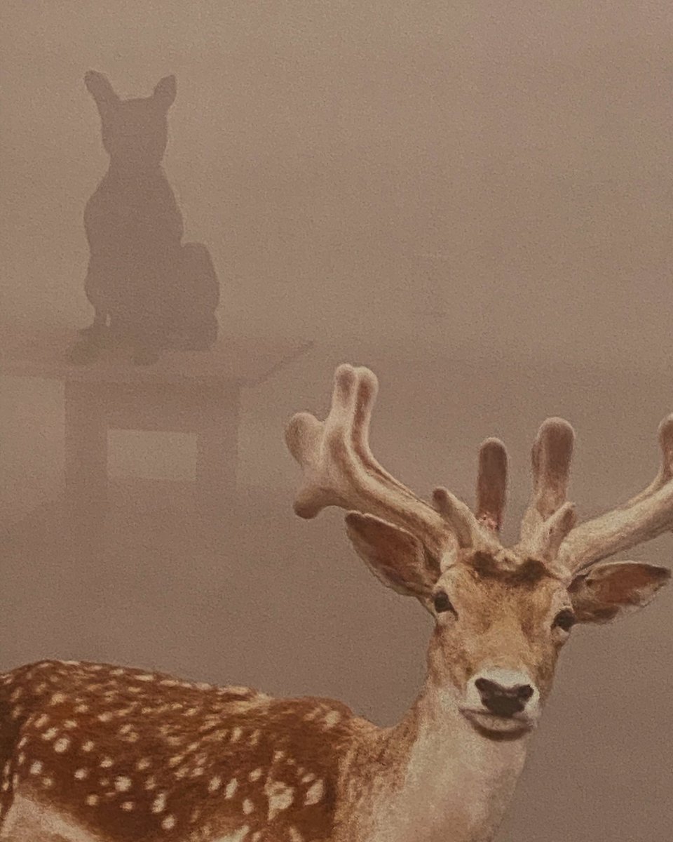 Bill Arning Exhibitions (@billarning) on Twitter photo 