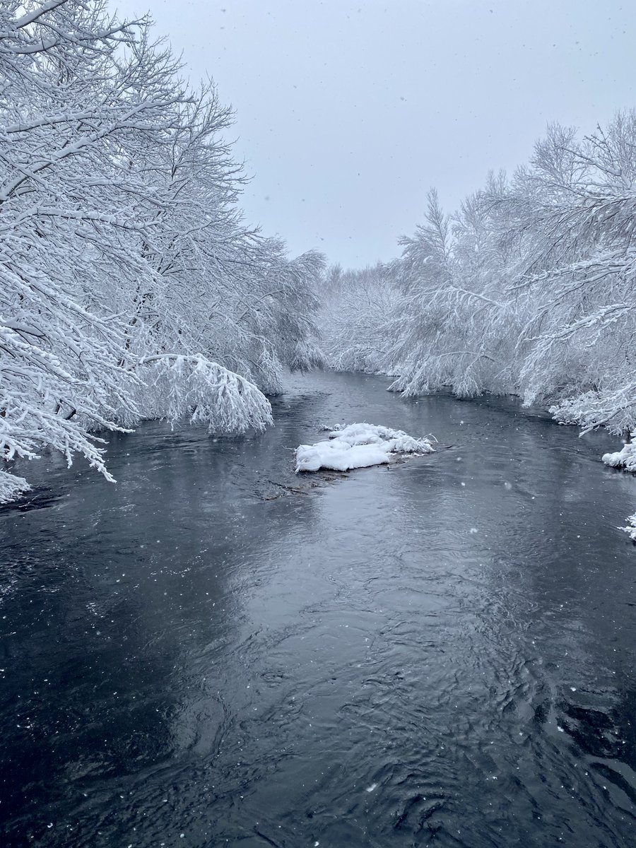 bjaucoin's tweet photo. Snow on the #SouthShore!  Let winter fun begin. @aucoin_raymond  #WINTER #FancyLake https://t.co/B5tsO4Q0vf