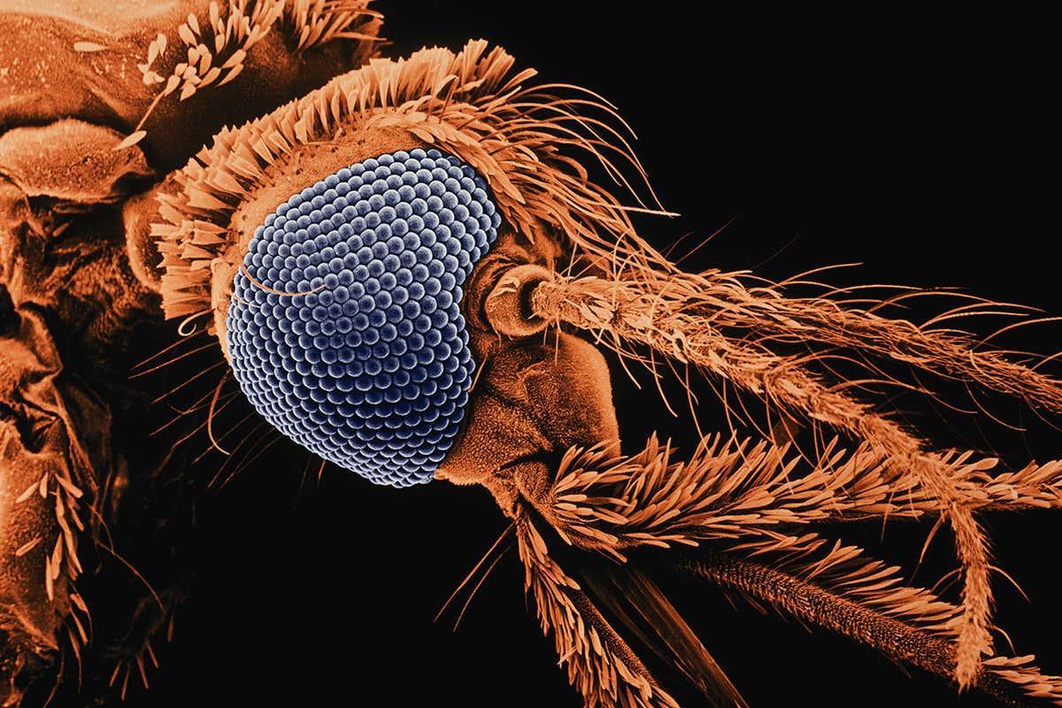 Remote Control review: Fusing Ghanaian stories with a sci-fi thriller bit.ly/3iQO8P7