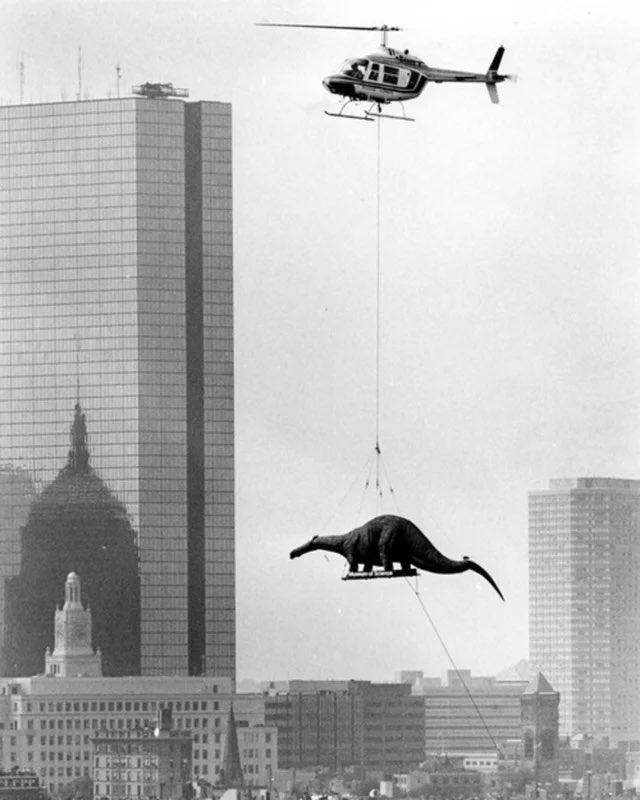 Delivering a dinosaur to the Boston Museum of Science,(1984). 
Photo: Arthur Pollock