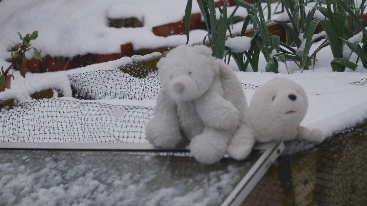 Celia Celia go and follow my lovely friends!

@ForLuvOfAnimals <a href="/arin_twit/">Arin Greenwood</a> <a href="/Melm771/">Melm77</a> @iamkingemil <a href="/growlerpbear/">Growler P Bear</a> <a href="/Carabaguiaz3/">Elias Carabaguiaz Rois</a> <a href="/pitbullwizard/">Merlin the Pit Bull</a> <a href="/Cohiba213/">Hiba</a> <a href="/stuffedofficial/">Youtube.com/c/StuffedProductions</a> <a href="/GilbertjJulie/">Julie G</a> <a href="/JCBandD/">Dak, Zeke & Kobe</a> <a href="/wings2605/">Cathryn Dufort</a> <a href="/BonganiGiraffe/">Bongani</a> @Prior3Karen <a href="/patricia_hamill/">Patricia Hamill</a> <a href="/JailBirdZoe/">Zozz</a> <a href="/OllieTheStaffy/">Ollie 🌈 & Ted & Piper & Draig</a>