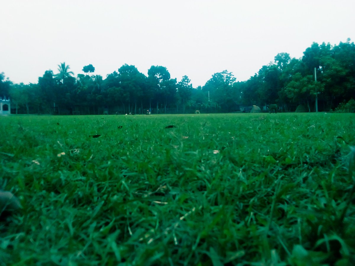 শাওন (@iamshaon12) on Twitter photo 