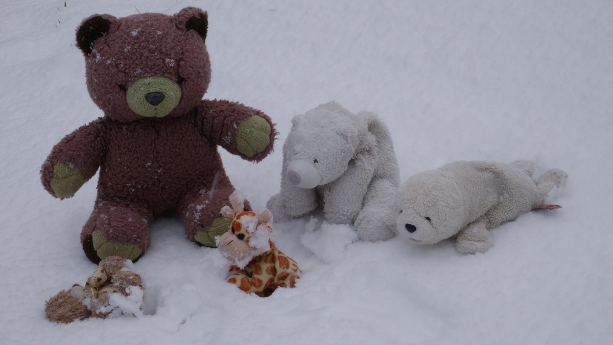 Happy Friday! Celia Celia please go and follow!

<a href="/AccioTheForce/">Accio The Force</a> <a href="/MairCollie/">Daisy Doo 😊Mair the Collie 🌈</a> <a href="/Beverly04092939/">Beverly Edwards 🐕🤶</a> <a href="/stuffedofficial/">Youtube.com/c/StuffedProductions</a> <a href="/paulinedaniels/">Pauline</a> <a href="/mandyzymel/">Mandyzy</a> <a href="/CathySchutte/">Catherine Schutte</a> <a href="/BonganiGiraffe/">Bongani</a> @rugbygoldendog @spoiledrescue <a href="/Staffieluv/">Major Mya 😻& Rainey 🐕‍🦺 Angel SweetCakes 🌈</a> <a href="/Ryan_the_Spoo/">Sir Ryan the Spoo 🇨🇦</a> <a href="/growlerpbear/">Growler P Bear</a> <a href="/Renjen10/">Renée Talley</a> @brianlabradude <a href="/caniscausa/">Rhys and 🌈Harry 🇺🇦🌻</a>