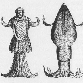 Also does a mermaid have to be part fish? What about other aquatic creatures...The Greco-Roman Cecaelia were half human, half octopus. Whilst Ursula the Disney sea witch is known, the rest of her clan are far less depicted today. /5