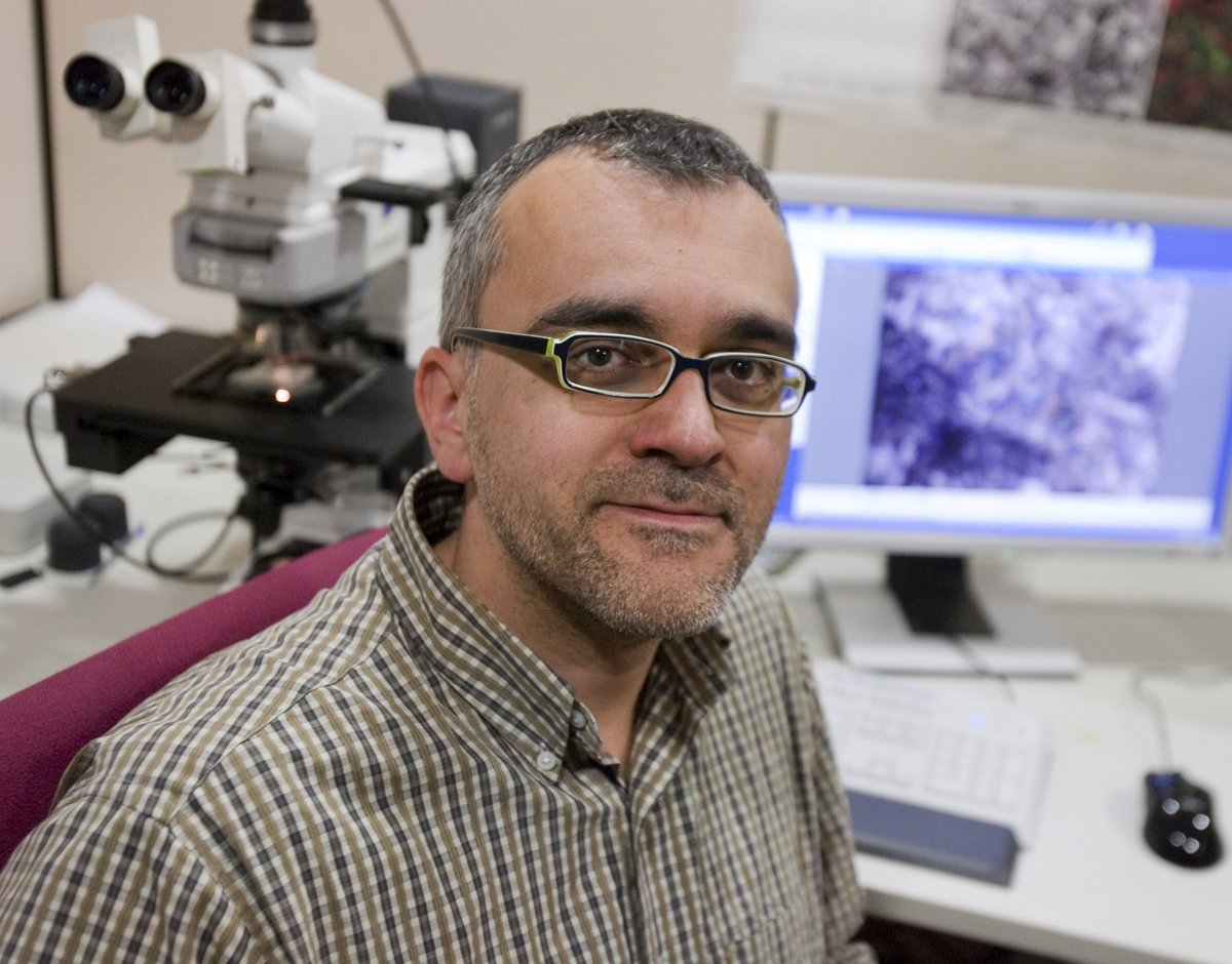 RedSpmn's tweet photo. EL PRÓXIMO LUNES 25 DE ENERO LA AGRUPACIÓN @astrosabadell ofrece una charla a las 18h sobre astrobiología con el Prof. @Josep_Trigo del @iSpaceSci @CSIC @IEEC_space en la que hablará de "Las raíces cósmicas de la vida" de ediciones @UABBarcelona @Bctuab 
https://t.co/oQglhAmZi5 https://t.co/ijXalitFwL