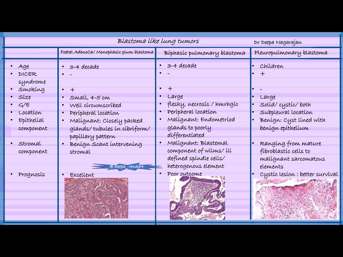 This is how I remember these three lung tumors!
#pathology , #lungpath