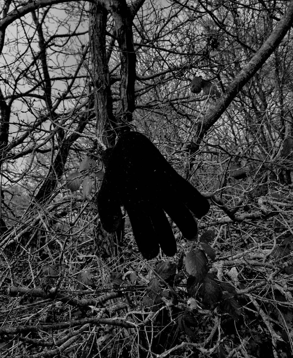 AntoineLeuilli5's tweet photo. A Braze In The Northen Sky #sad #blackmetal #pics 
Merci @MaxwellDrag0n et @whatisalt236 kodex metallum est un puit d'inspiration https://t.co/L5Av9aWWcv