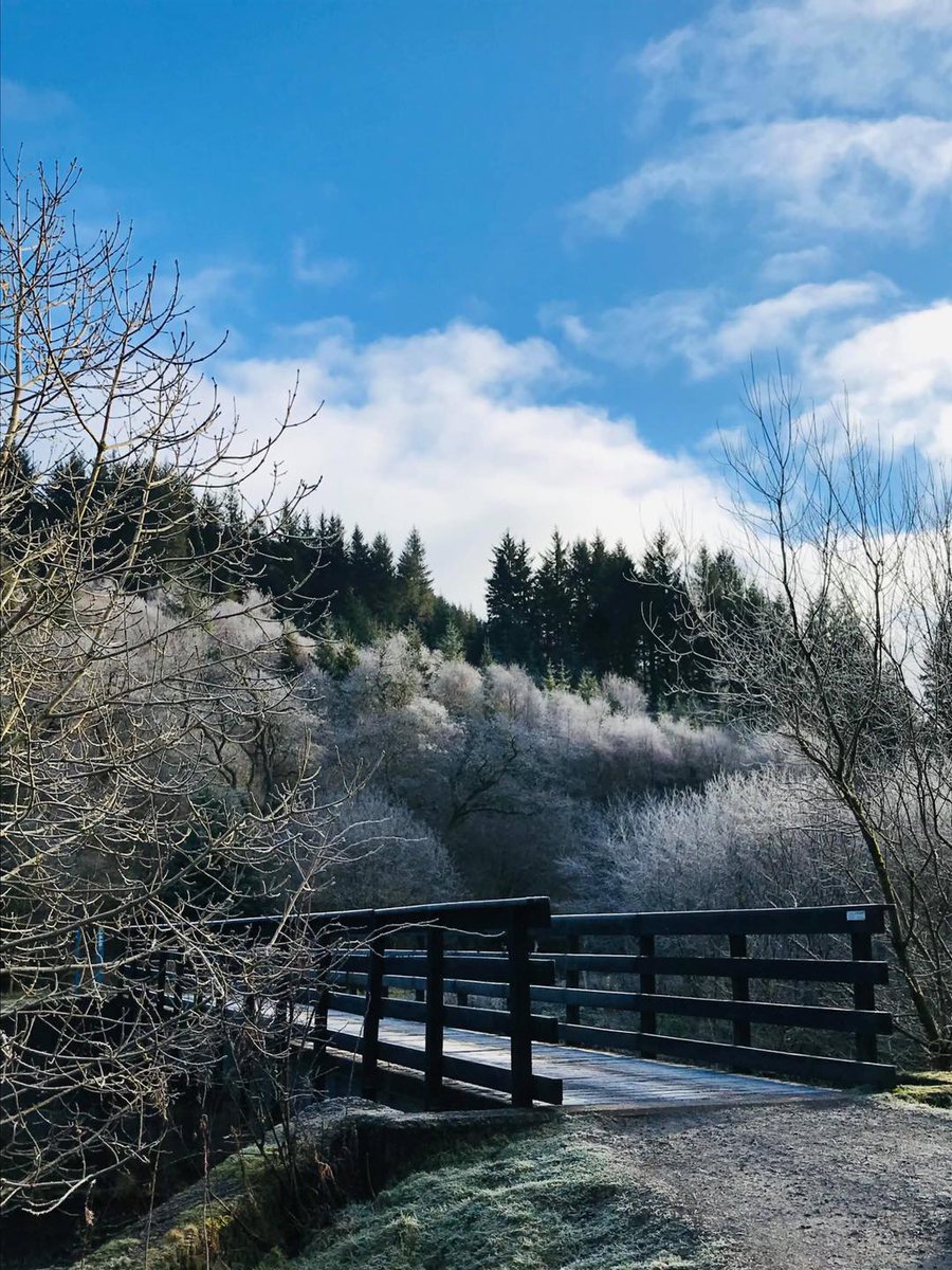 DGWGO's tweet photo. Ae Forest 🌳 today at noon, sent in by Gail Bell #ae #aeforest https://t.co/Iibq7Oa0q9