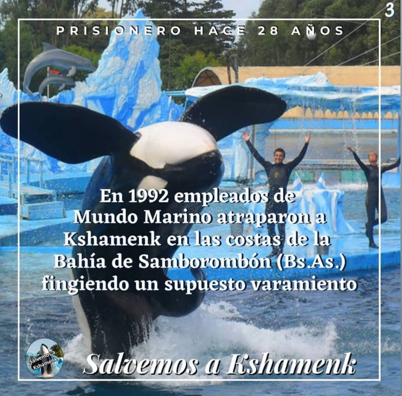 pauhartiuk's tweet photo. ¡CIERREN MUNDO MARINO! @mundomarino_ar https://t.co/IxeAdSAkR6