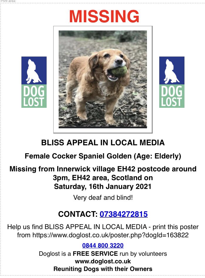rosiedoc666's tweet photo. BLISS elderly #cockerspaniel missing DEAF & BLIND #innerwick village #EH42 16/1/21 around 3pm
Female / golden Chipped&spayed
SCOTLAND 🏴
#media appeal for #missingdog
https://t.co/RVAHDY1trg
https://t.co/duNDOpTjPs https://t.co/LCSAWkQPS4